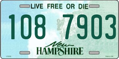 NH license plate 1087903