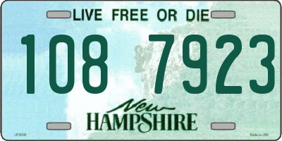 NH license plate 1087923