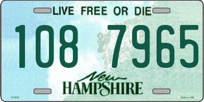 NH license plate 1087965