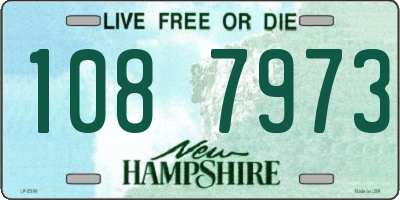 NH license plate 1087973