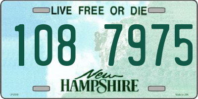 NH license plate 1087975
