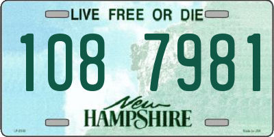 NH license plate 1087981