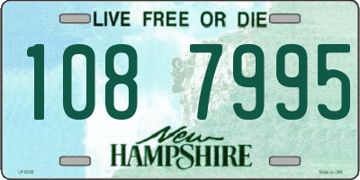 NH license plate 1087995