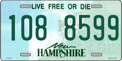 NH license plate 1088599