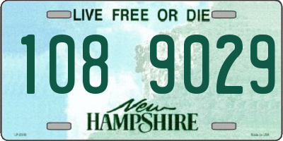 NH license plate 1089029
