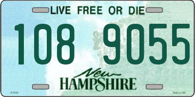 NH license plate 1089055