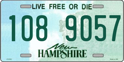 NH license plate 1089057