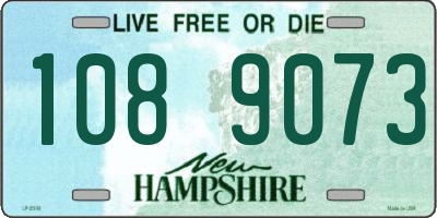 NH license plate 1089073