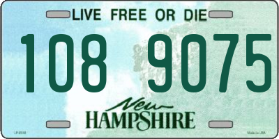 NH license plate 1089075