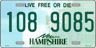 NH license plate 1089085