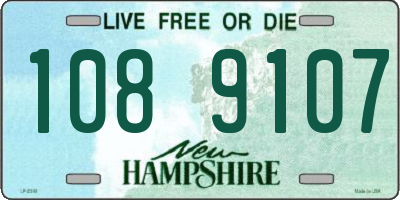 NH license plate 1089107