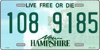 NH license plate 1089185