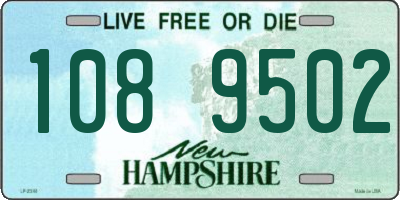NH license plate 1089502