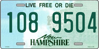 NH license plate 1089504