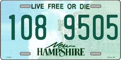 NH license plate 1089505