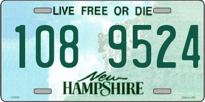 NH license plate 1089524