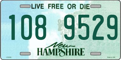 NH license plate 1089529