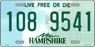 NH license plate 1089541