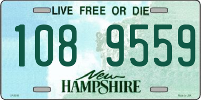 NH license plate 1089559