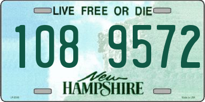 NH license plate 1089572