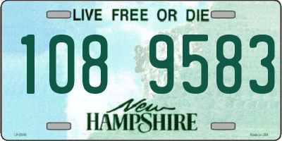 NH license plate 1089583