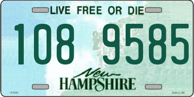 NH license plate 1089585