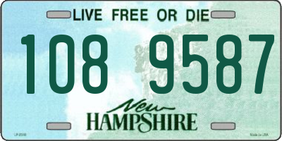 NH license plate 1089587
