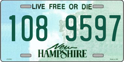 NH license plate 1089597