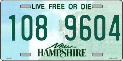 NH license plate 1089604
