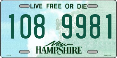 NH license plate 1089981