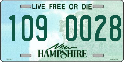 NH license plate 1090028