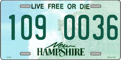 NH license plate 1090036