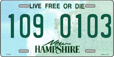 NH license plate 1090103