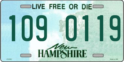 NH license plate 1090119