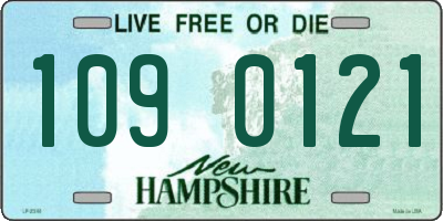 NH license plate 1090121