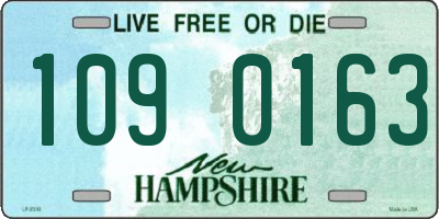 NH license plate 1090163