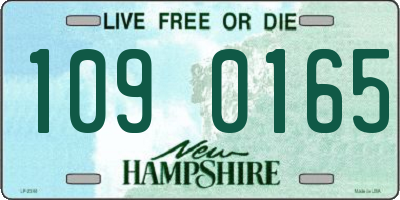 NH license plate 1090165