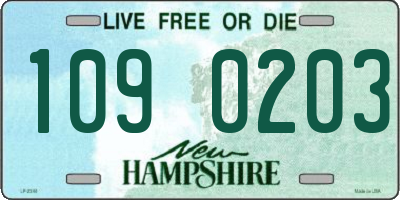 NH license plate 1090203
