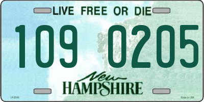 NH license plate 1090205