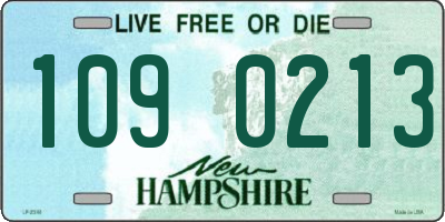 NH license plate 1090213