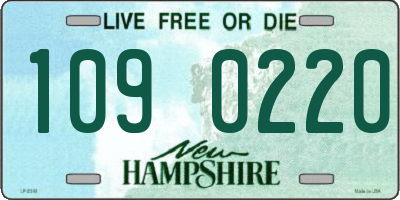 NH license plate 1090220