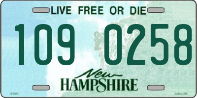 NH license plate 1090258