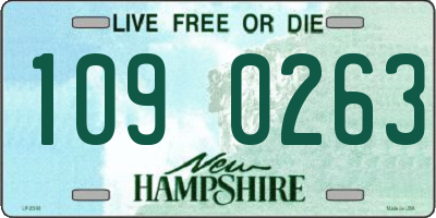 NH license plate 1090263