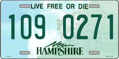 NH license plate 1090271