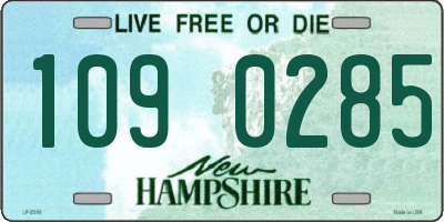 NH license plate 1090285