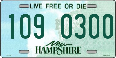 NH license plate 1090300
