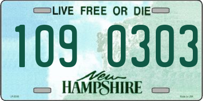 NH license plate 1090303