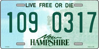 NH license plate 1090317