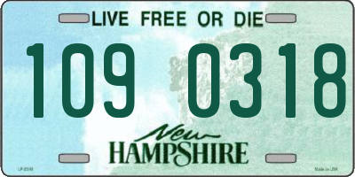 NH license plate 1090318