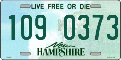 NH license plate 1090373